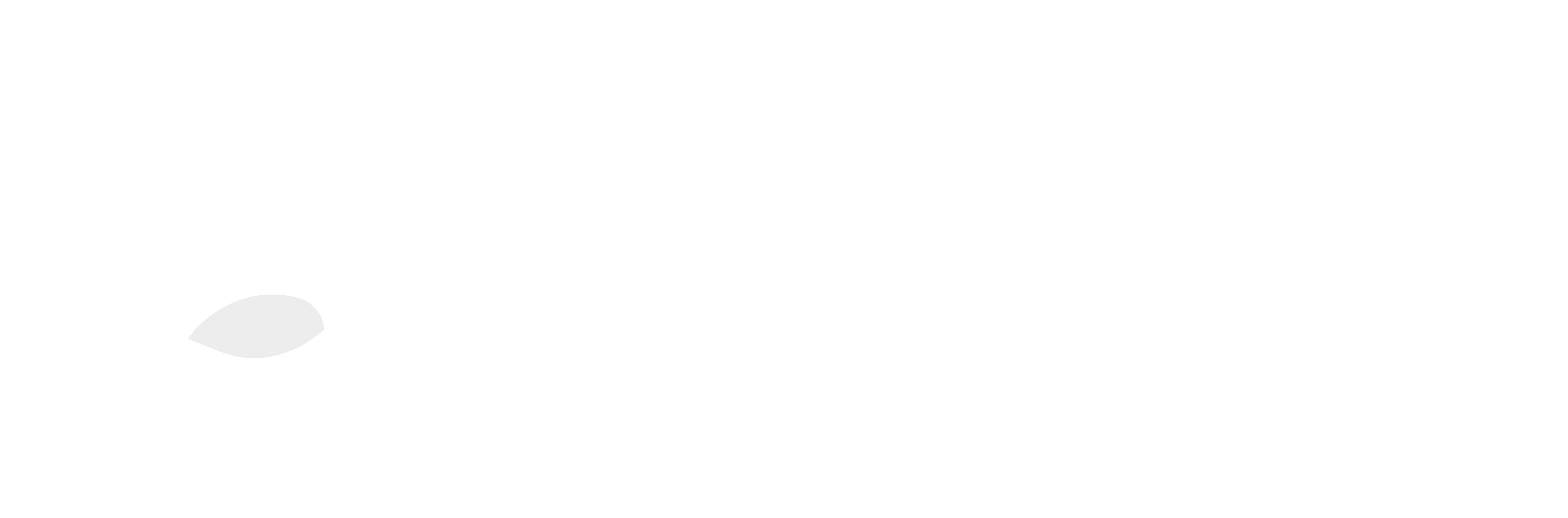 Gnosis Labs Logo